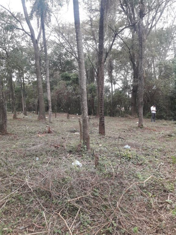 TERRENOS — foto 3