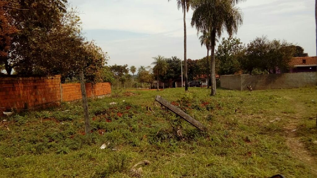 Vendo 7 lotes juntos o separados limpio — foto 3