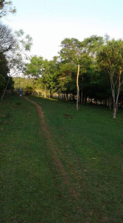 40 hectáreas terreno en Pastoreo.Caaguazú — foto 3