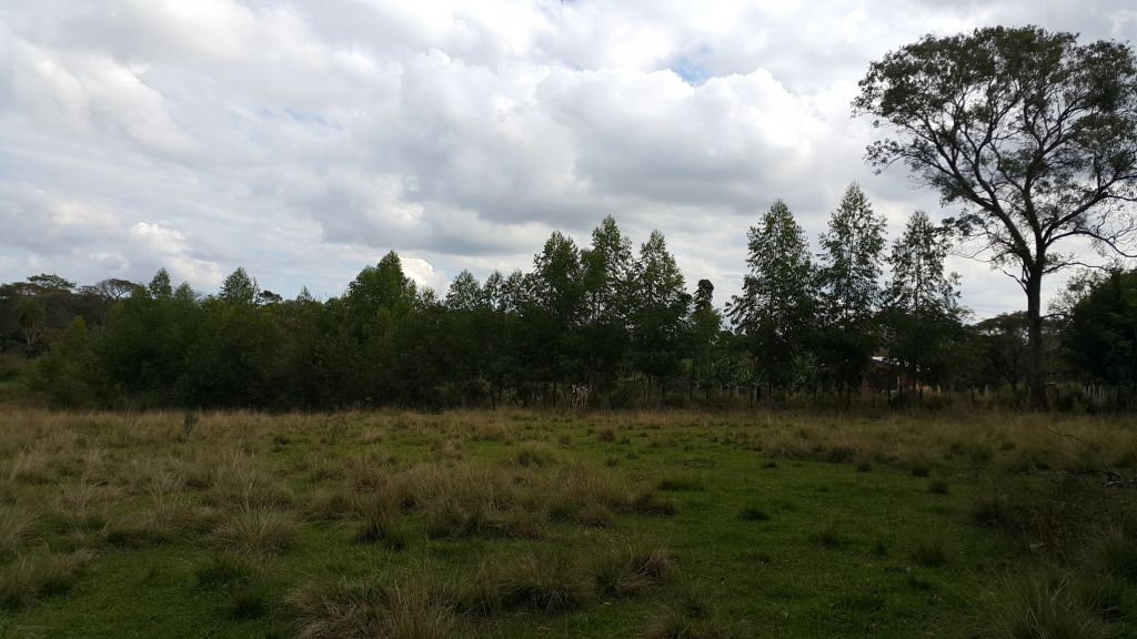 VENDO TERRENO SOBRE RUTA 8!! — foto 2