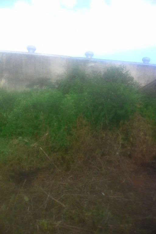 VENDO ÚNICO TERRENO EN MARIANO R. ALONSO — foto 2