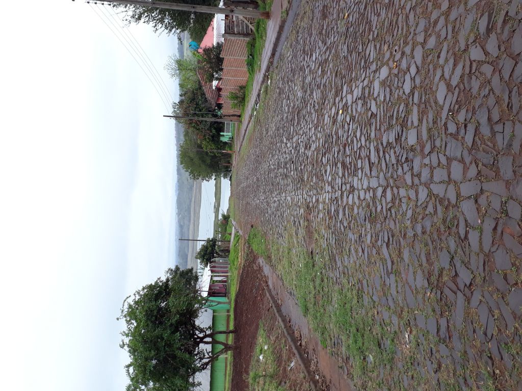 Vendo Terreno Encarnación — foto 2