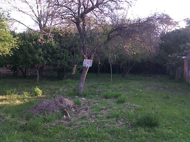 OFERTO DOS TERRENOS EN LA CIUDAD DE LIMPIO. — foto 3