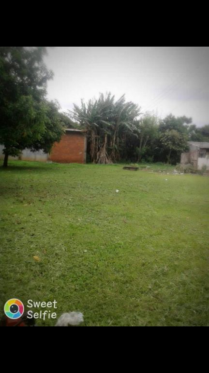 Hermoso Terreno en Kaaguyrory — foto 3