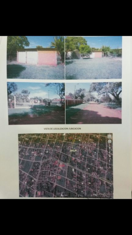 Terreko Kaaguy rory — foto 2