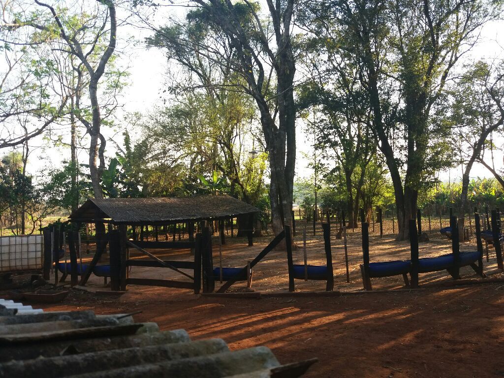 Granja — foto 2
