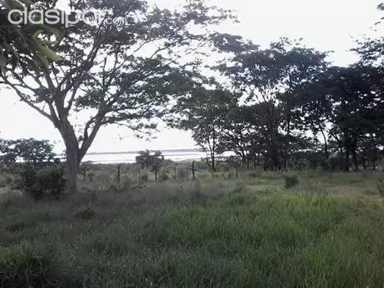 Vendo propiedad de 5 hectareas y 3500 m2 en M.R.Alonso sobre la av. Paseo de fatima especial para todo tipo de emprendimiento — foto 3