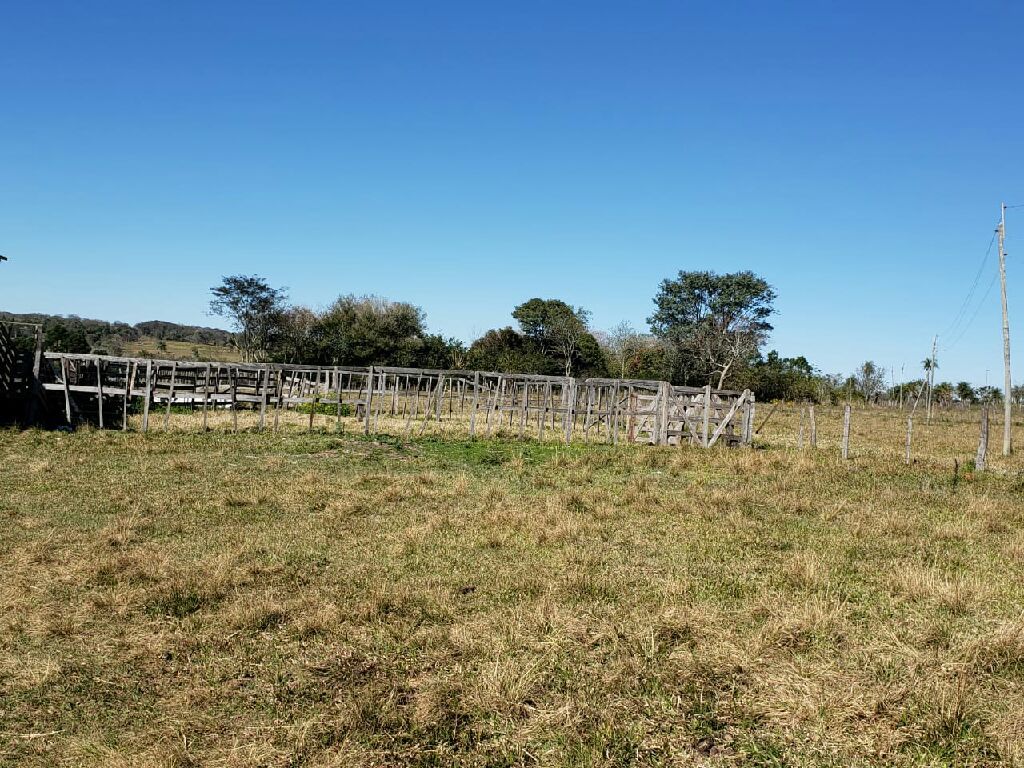 Granja — foto 3
