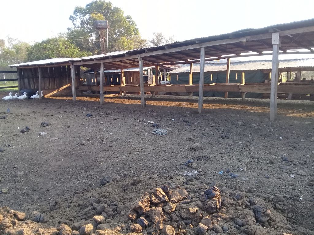 Granja 23 hectareas — foto 2