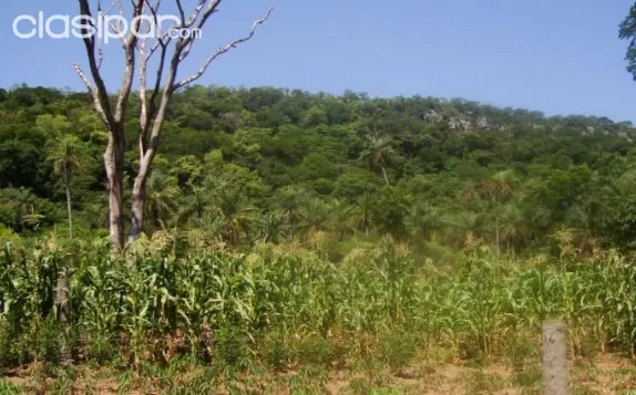 Vendo Hermosa Casa Quinta de 13 Hectáreas con Arroyo en Caacupé — foto 2