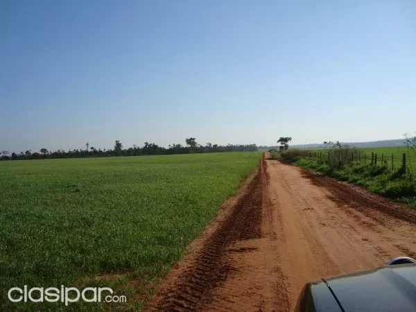 CAAGUAZU TIERRA DE PRIMERA 8.000 dlsha — foto 3