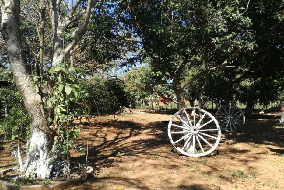 Vendo hermoso terreno en esquina en Emboscada — foto 2