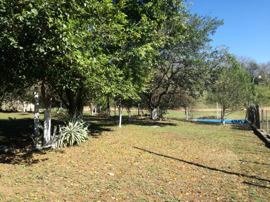 Vendo hermoso terreno en esquina en Emboscada — foto 3