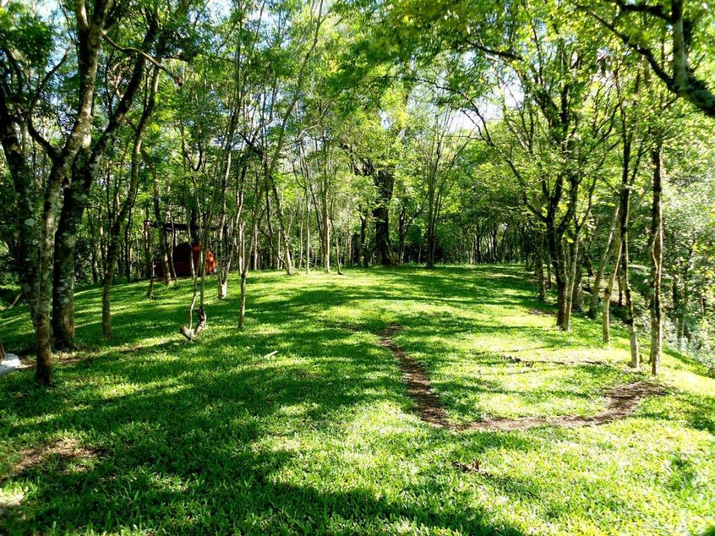 VENDO HERMOSA QUINTA DE 10 HAS EN KM 21 MINGA GUAZU PRECIO OFERTA — foto 2