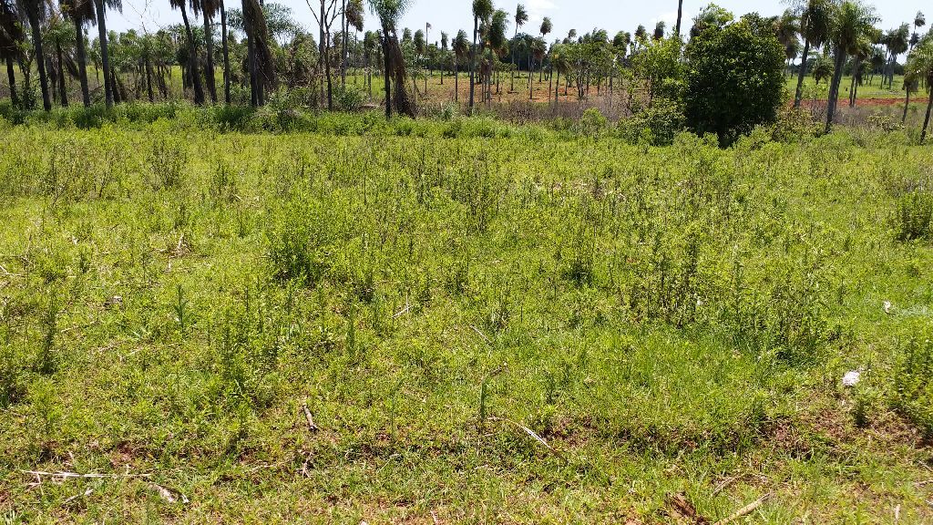 Vendo hermoso terreno en Itagua. — foto 3