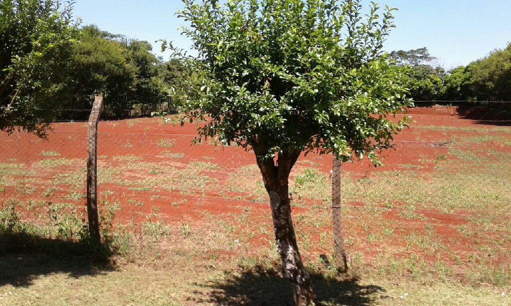 Vento terreno todo cerrado — foto 3