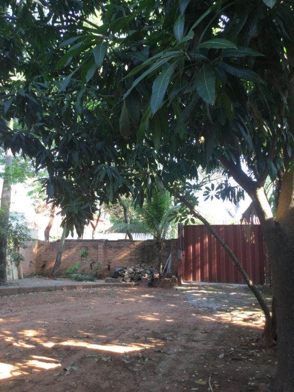 HERMOSO TERRENO EN ZONA ASO DE HACIENDA, LAMBARE, Arborizado y Amarullado, 13 x 29 mts — foto 2