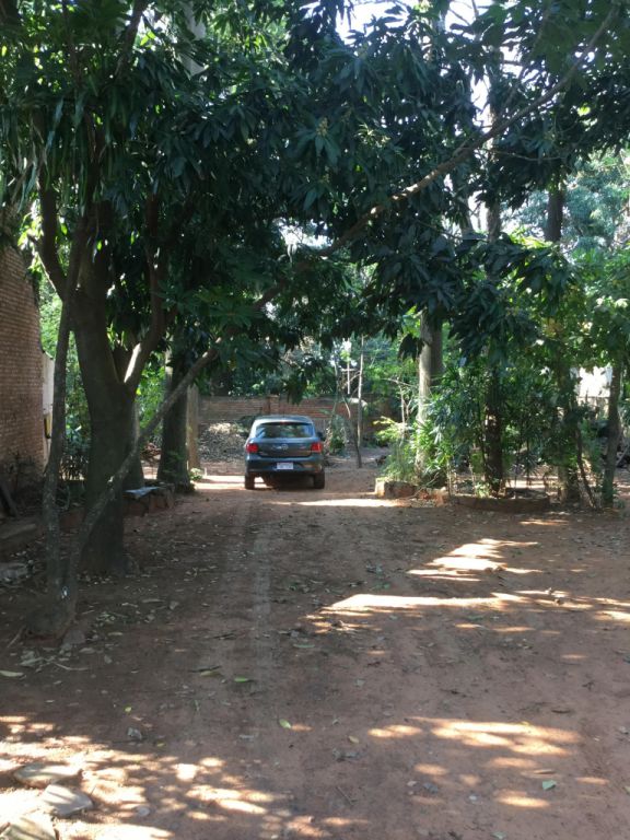 HERMOSO TERRENO EN ZONA ASO DE HACIENDA, LAMBARE, Arborizado y Amarullado, 13 x 29 mts — foto 3