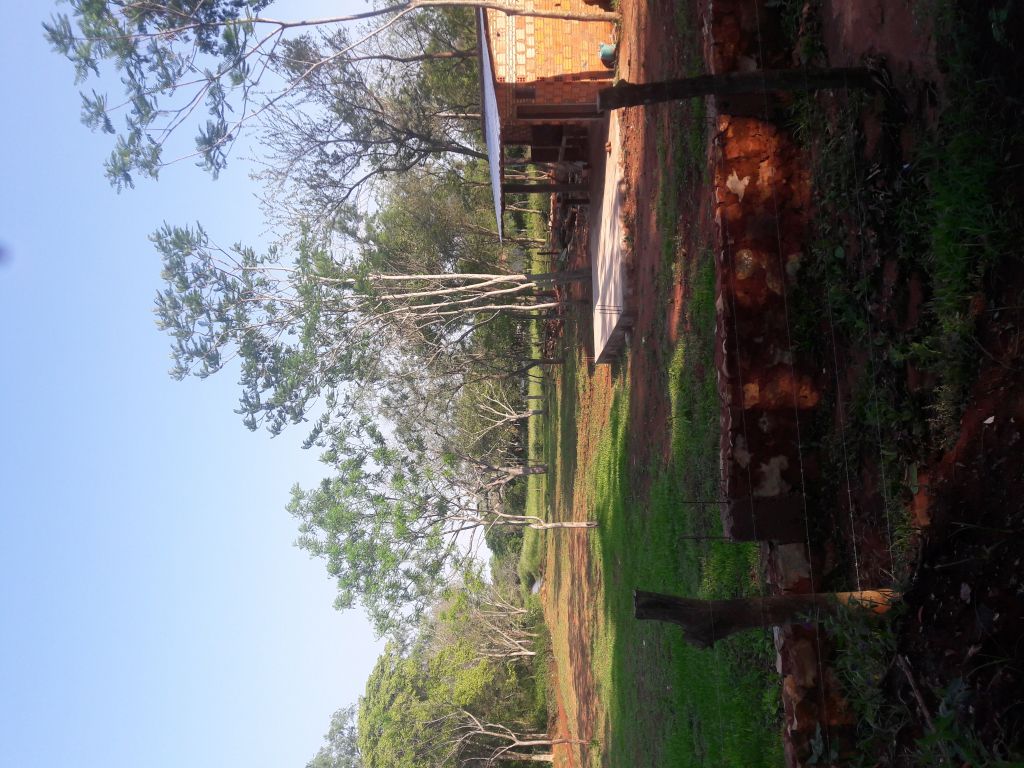 Vendo hermoso terreno zona Palacio de Justicia - Luque — foto 2