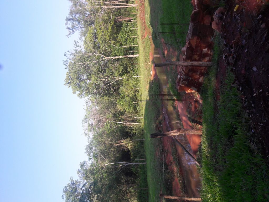 Vendo hermoso terreno zona Palacio de Justicia - Luque — foto 3