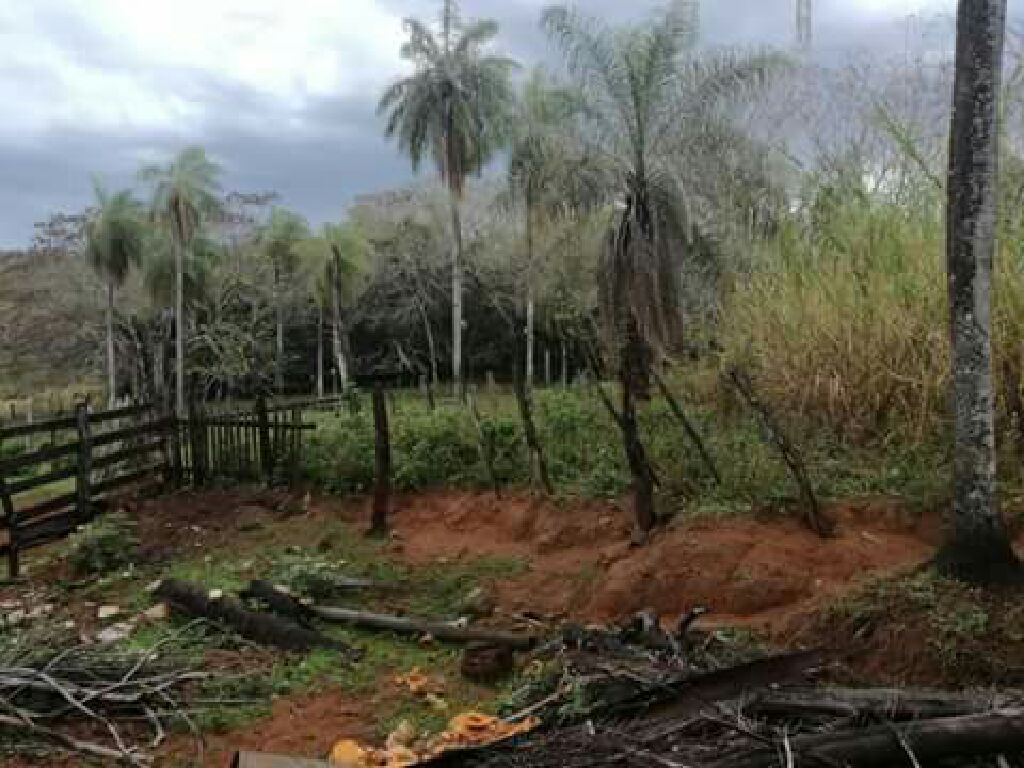 Hermosa propiedad en Nva Colombia — foto 2
