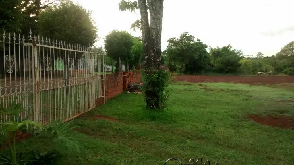 Vento terreno — foto 3