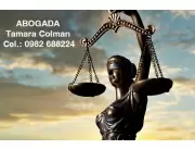 Abogada al servicio!! Contacte!!! Cobro de cheques pagarés sucesión prestación divorcio!!