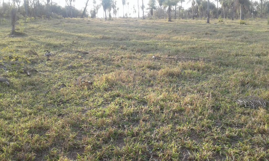 Vendo esta propiedad — foto 3