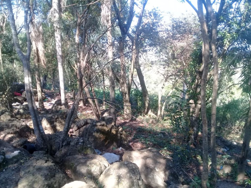 HERMOSOS TERRENOS PARA QUINTA EN LOMA GRANDE CON CERRITO EN MEDIO!! — foto 2