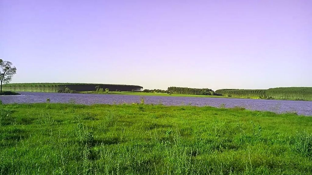 TERENO SOBRE EL LAGO YGUAZU- ZONA MALLOQUIN — foto 3