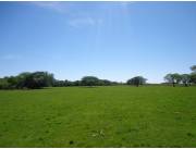 💥VENDO ESTANCIA AGROGANADERA EN VILLALBIN, ÑEEMBUCU💰
