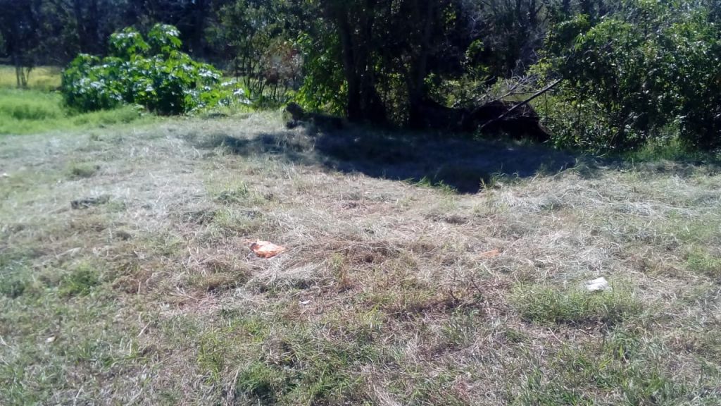 TERRENO EN VENTA EN EL BARRIO SAN ISIDRO - ENCARNACION SOBRE RUTA CAMINO A ITACUA — foto 3