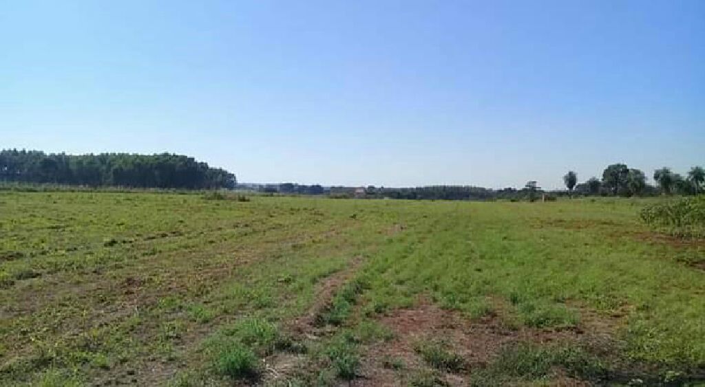 Lotes en Alto Parana — foto 3