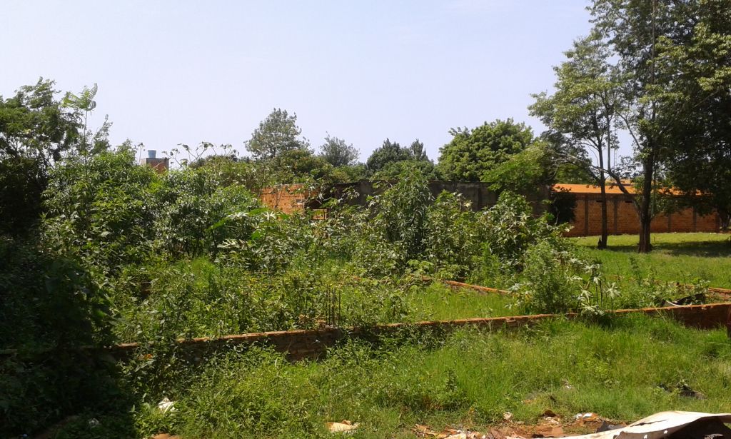 Remato terreno a seguir pagando Km 7 Ciudad Nueva a 900 metros de Stock — foto 3