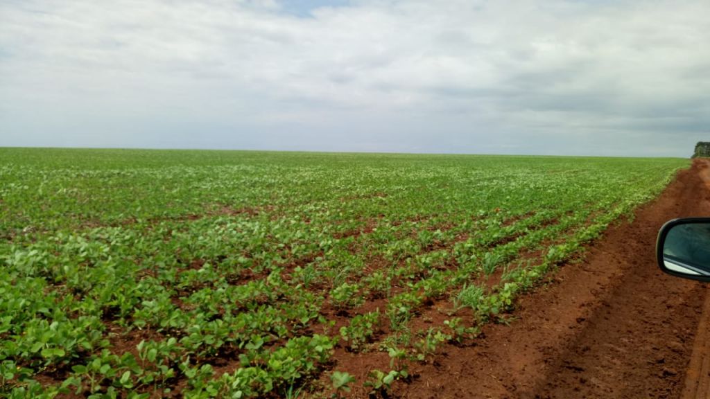 Imperdible!!!! Vendo 220 há de tierra premium en la Ciudad de Minga Guazu km 28 Monday — foto 2