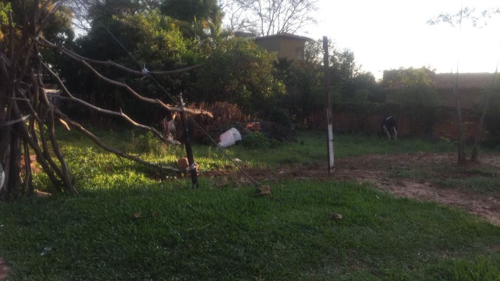 Vendo terreno en Luque — foto 3