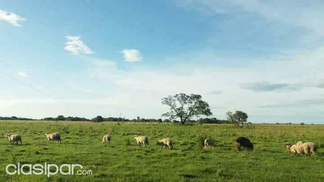 INVERSION ALTAMENTE RENTABLE — foto 2