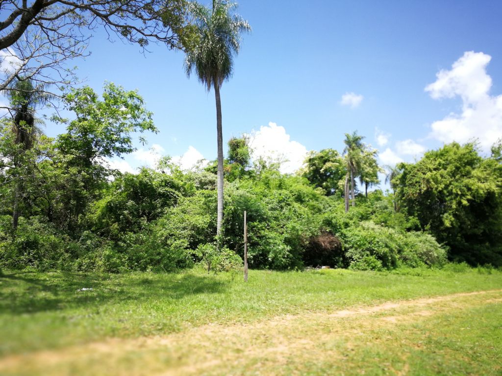 Terreno en Luque - Limpio ( Isla Zárate) — foto 2
