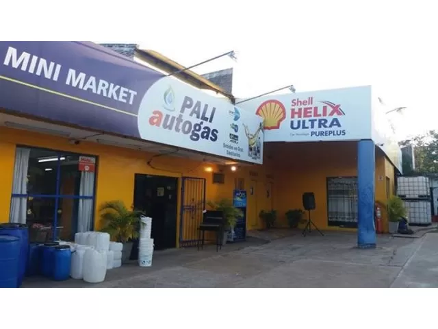 VENDO ESTACIÓN DE SERVICIO EMBLEMA GAS CORONA — foto 3