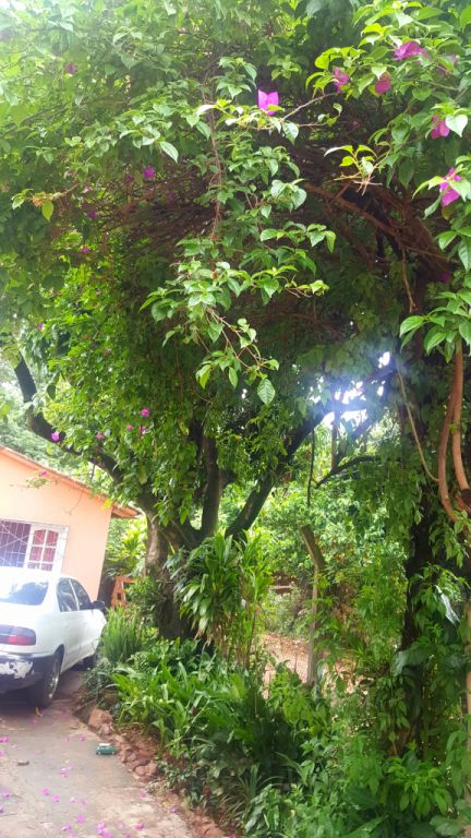 VENDO CASA EN RUTA 1 KM 17,5 CAPIATÁ — foto 2