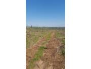 OFERTISIMA!!! en Caaguazu 20 HA con Casa, Zona Repatriación