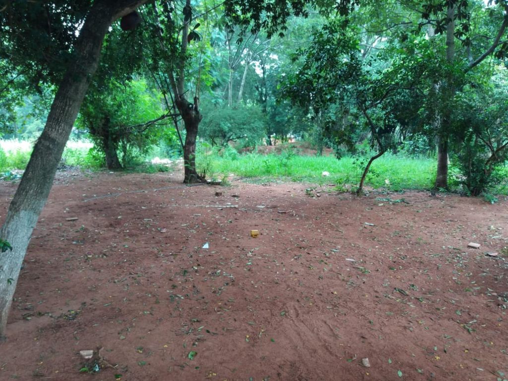 Vendo terreno 3.670 mts2 en Marín ka’guy Luque San Bernardino — foto 3