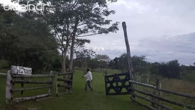 VENDO PROPIEDAD 10,5 HAS en Nueva Colombia — foto 2
