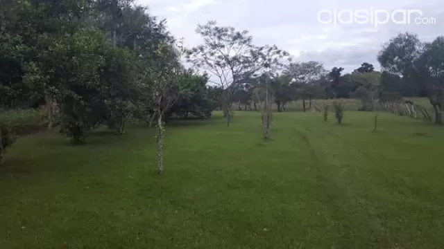 VENDO PROPIEDAD 10,5 HAS en Nueva Colombia — foto 3