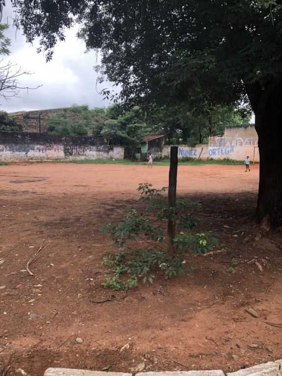 Vendo terreno en Fdo de la Mora Zona Sur — foto 2