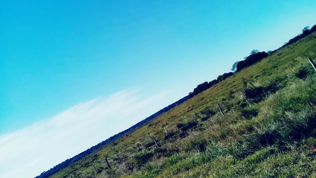 1100 Hectareas en Alto Vera - San Pedro del Parana — foto 2