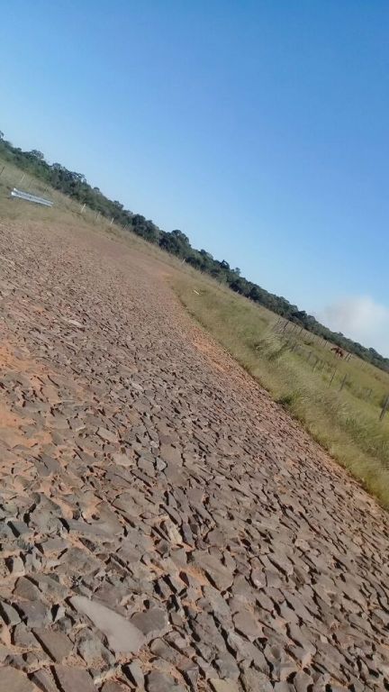 1100 Hectareas en Alto Vera - San Pedro del Parana — foto 3
