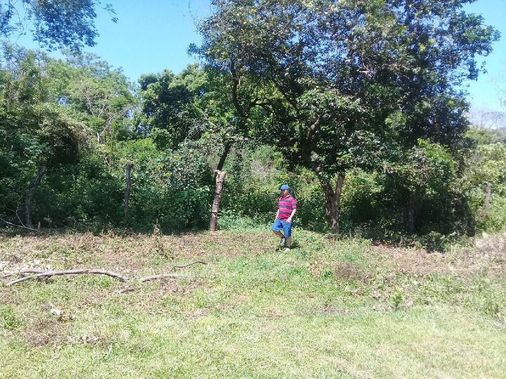 Terreno en venta — foto 3