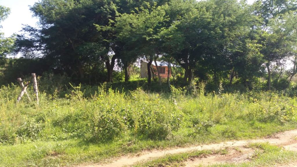 Terreno en Luque Tarumandy — foto 2