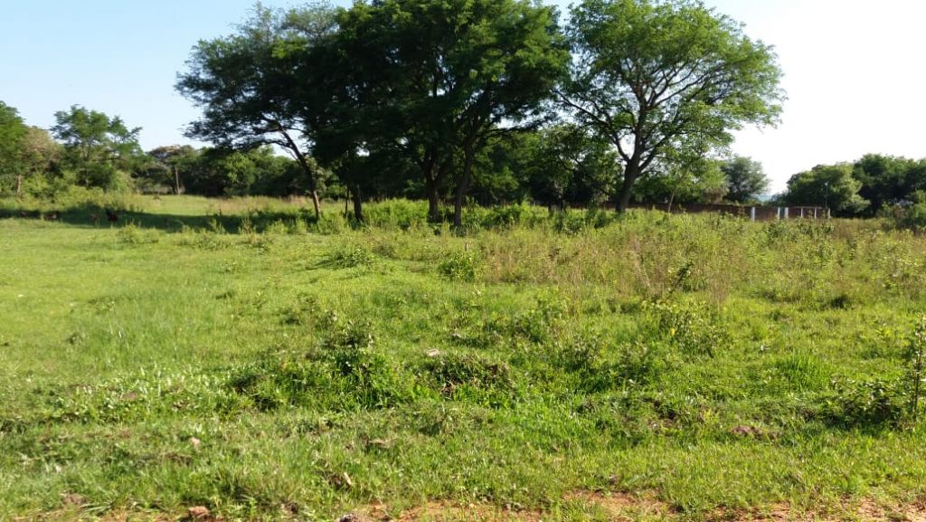 Terreno en Luque Tarumandy — foto 3